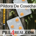 Píldora De Cosecha 25